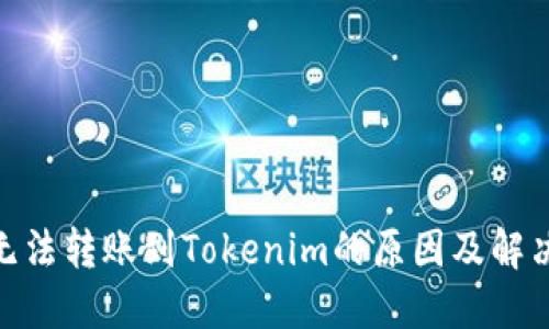 XMR无法转账到Tokenim的原因及解决方案