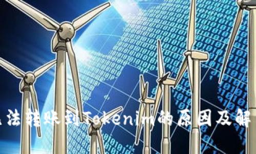 XMR无法转账到Tokenim的原因及解决方案