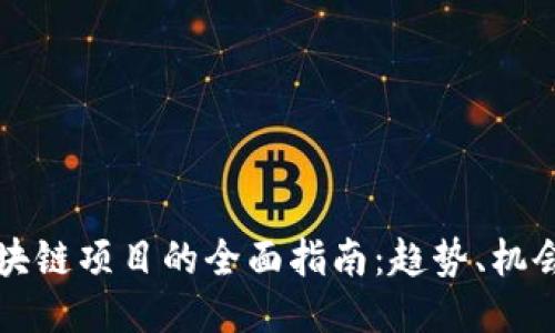 开拓区块链项目的全面指南：趋势、机会与挑战