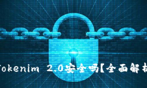 将比特币存入Tokenim 2.0安全吗？全面解析安全性和风险