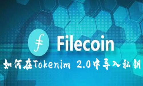 如何在Tokenim 2.0中导入私钥