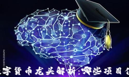 
区块链数字货币龙头解析：哪些项目值得关注？