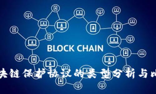 区块链保护协议的类型分析与比较