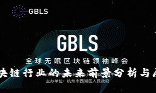 区块链行业的未来前景分析与展望