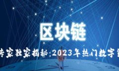 中国区块链币的专家独家揭秘：2023年热门数字货