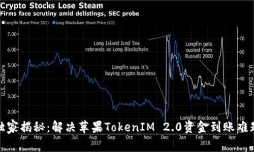 : 专家独家揭秘：解决苹果TokenIM 2.0资金到账难题的秘诀