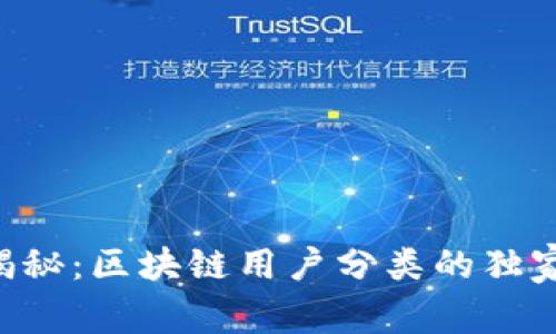 专家揭秘：区块链用户分类的独家秘诀！