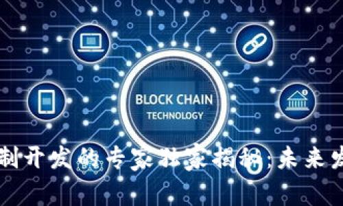 区块链技术定制开发的专家独家揭秘：未来发展方向与秘诀