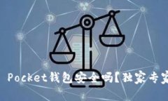 Token Pocket钱包安全吗？独家专家揭秘！