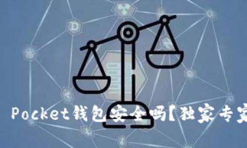Token Pocket钱包安全吗？独家专家揭秘！