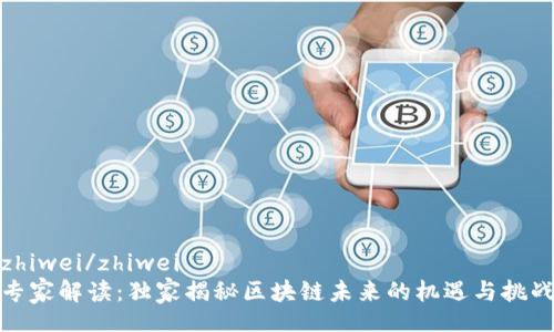zhiwei/zhiwei
专家解读：独家揭秘区块链未来的机遇与挑战