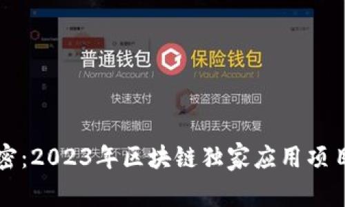 专家解密：2023年区块链独家应用项目的秘诀