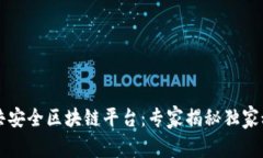 公共安全区块链平台：专家揭秘独家秘诀