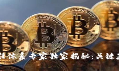 区块链信任体系专家独家揭秘：关键基石全解析