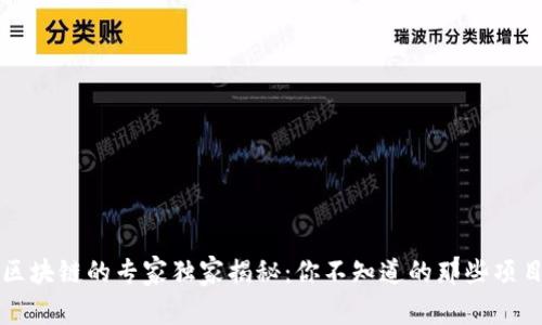 国家级区块链的专家独家揭秘：你不知道的那些项目和趋势