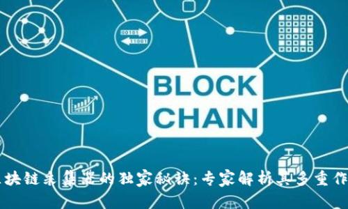 区块链采集器的独家秘诀：专家解析其多重作用