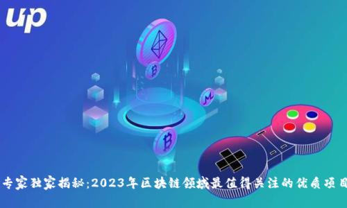 专家独家揭秘：2023年区块链领域最值得关注的优质项目