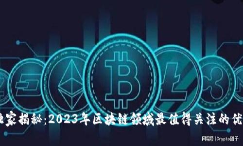 专家独家揭秘：2023年区块链领域最值得关注的优质项目