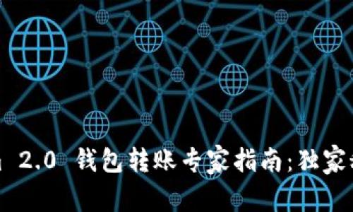 Tokenim 2.0 钱包转账专家指南：独家秘诀分享