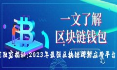 专家独家揭秘：2023年最强区块链成熟应用平台秘