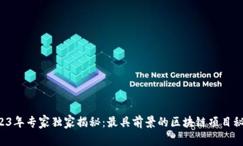 2023年专家独家揭秘：最具前景的区块链项目秘诀！