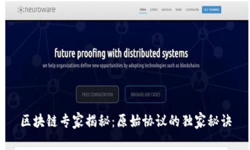 区块链专家揭秘：原始协议的独家秘诀