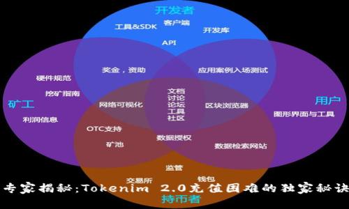 专家揭秘：Tokenim 2.0充值困难的独家秘诀