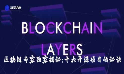 区块链专家独家揭秘：十大开源项目的秘诀