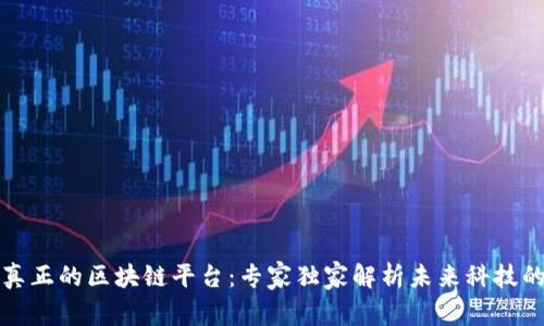 揭秘真正的区块链平台：专家独家解析未来科技的秘诀