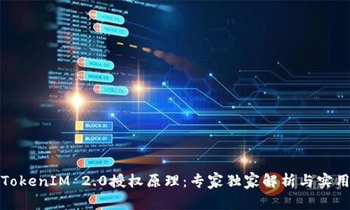 揭秘TokenIM 2.0授权原理：专家独家解析与实用秘诀