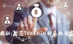 独家揭秘：防范TOKENIM被盗的专家秘诀