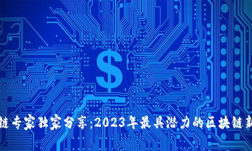 揭秘区块链专家独家分享：2023年最具潜力的区块链新技术内幕