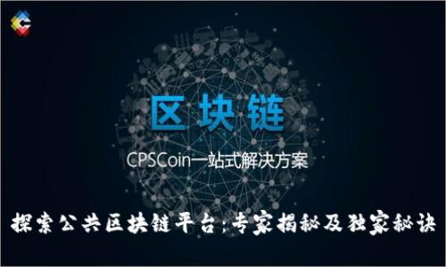 探索公共区块链平台：专家揭秘及独家秘诀