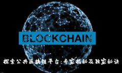 探索公共区块链平台：专家揭秘及独家秘诀