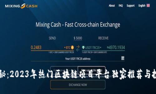 专家揭秘：2023年热门区块链项目平台独家推荐与投资秘诀