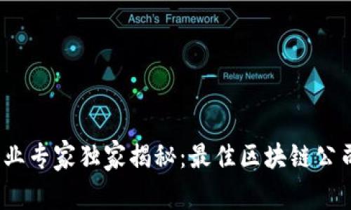 2023年区块链行业专家独家揭秘：最佳区块链公司推荐与投资秘诀