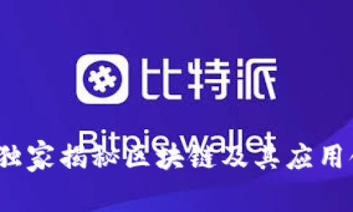 专家分享：独家揭秘区块链及其应用领域的秘诀