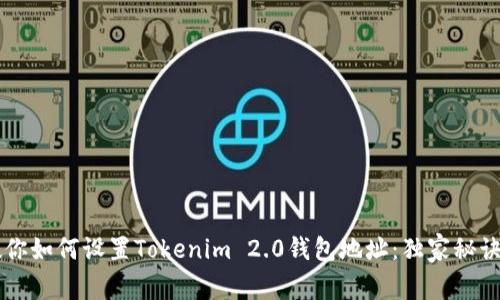 专家教你如何设置Tokenim 2.0钱包地址：独家秘诀全解析