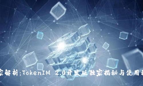 专家解析：TokenIM 2.0开发版独家揭秘与使用秘诀