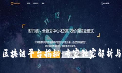 广州共建区块链平台揭秘：专家独家解析与实用秘诀