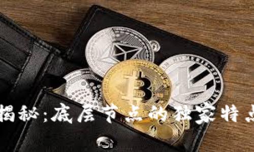区块链专家揭秘：底层节点的独家特点与运作秘诀