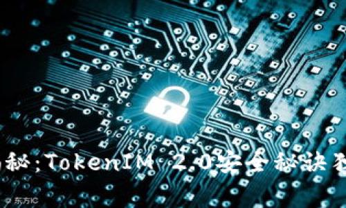   专家揭秘：TokenIM 2.0安全秘诀独家解析 