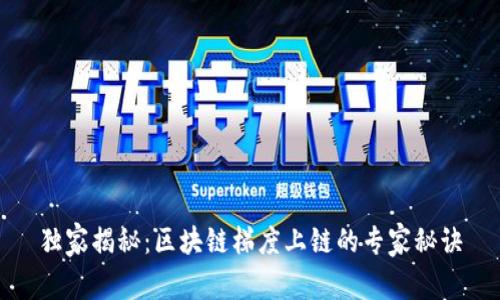 独家揭秘：区块链梯度上链的专家秘诀