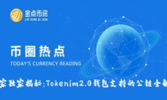 专家独家揭秘：Tokenim2.0钱包支持的公链全解析