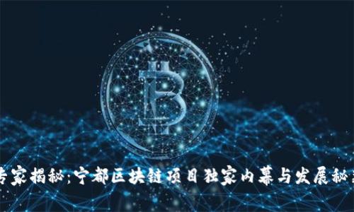 专家揭秘：宁都区块链项目独家内幕与发展秘籍