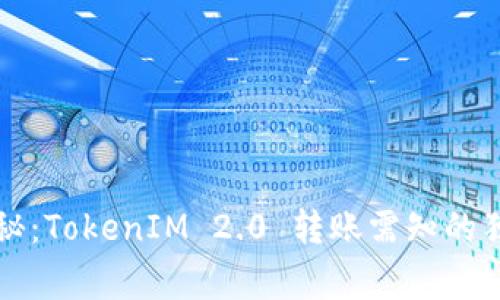 专家揭秘：TokenIM 2.0 转账需知的独家秘诀