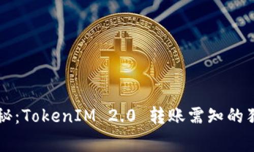 专家揭秘：TokenIM 2.0 转账需知的独家秘诀