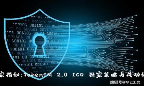 专家揭秘：TokenIM 2.0 ICO 独家策略与成功秘诀