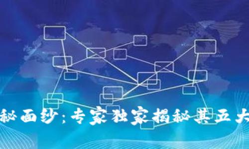 揭开区块链的神秘面纱：专家独家揭秘其五大核心特征与秘诀