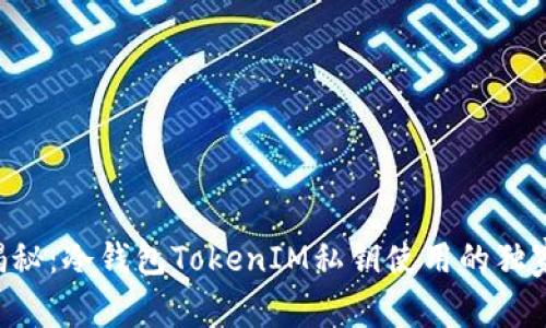 专家揭秘：冷钱包TokenIM私钥使用的独家秘诀！